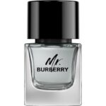 Burberry Mr. Burberry Eau de Toilette Spray - Image 2