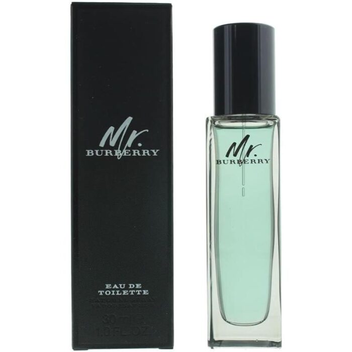 Burberry Mr Burberry Eau De Parfum - Image 1
