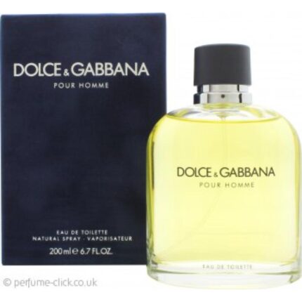 Dolce & Gabbana Pour Homme Eau de Toilette Spray